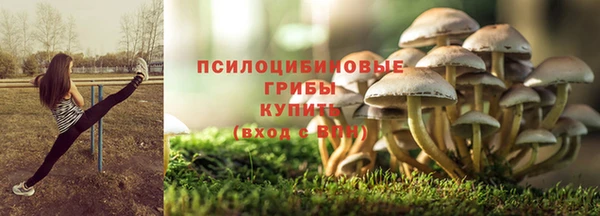соль курить ск Киреевск